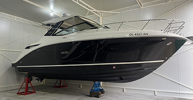 SeaRay320