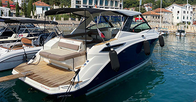 SeaRay320_2018